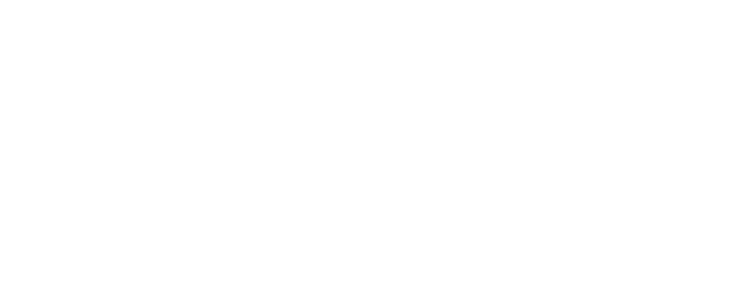 logo-roooty-white